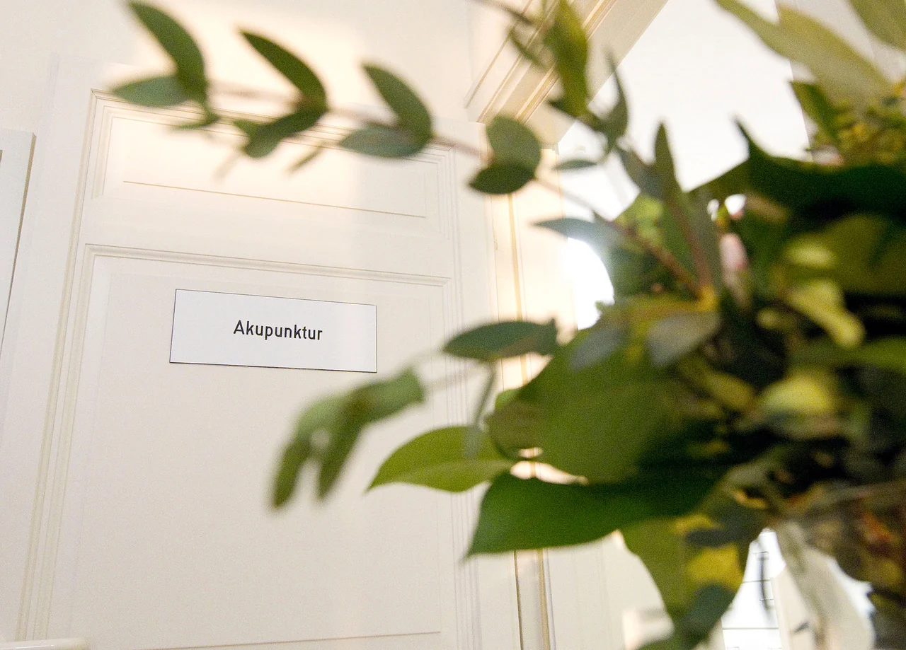 Das Schild Akupunktur an der Wand, davor eine Pflanze am Fenster